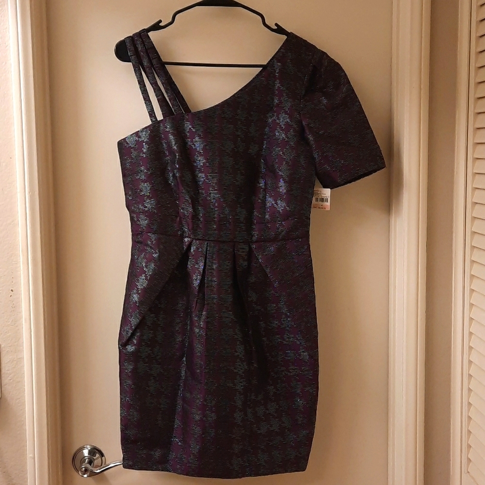 NWT, 2b RYCH Sugarplum Party Dress